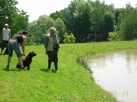 Bagheera Du bois des charagons