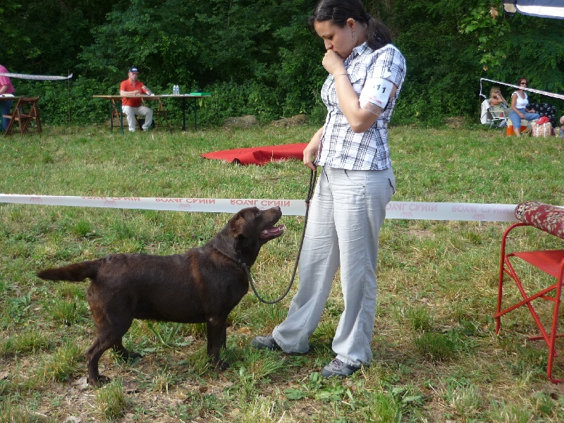 Bagheera Du bois des charagons