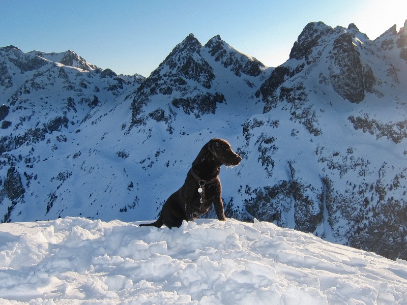 Beeswax Gaïa